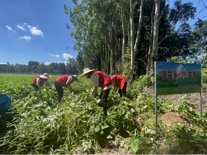 168开奖网app