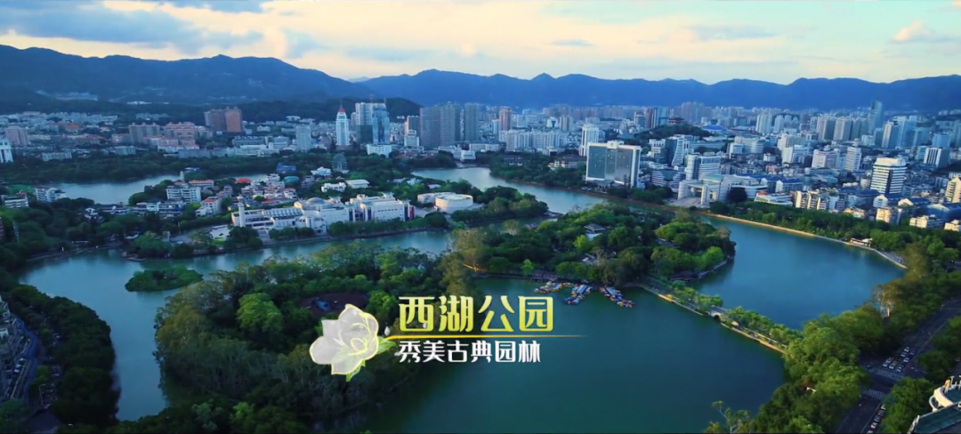 168开奖网app