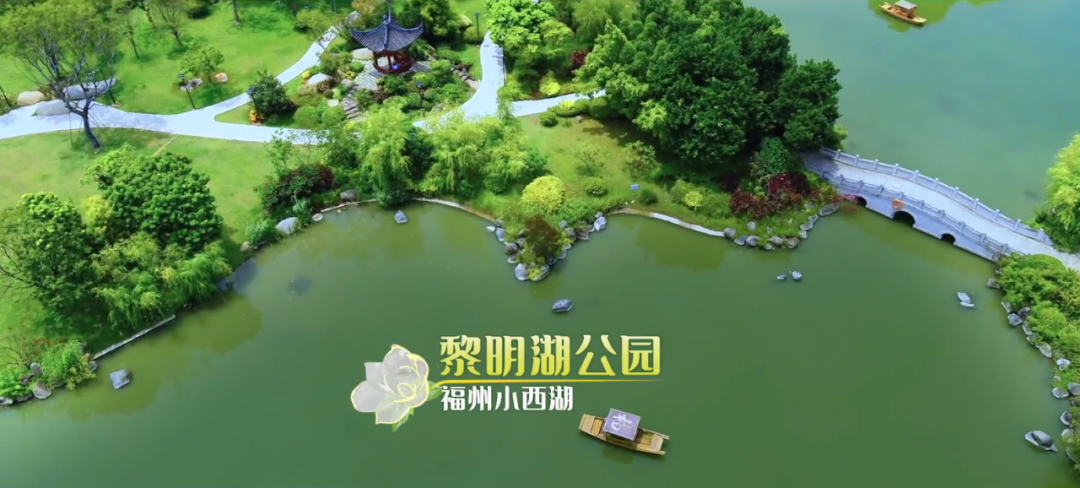 168开奖网app