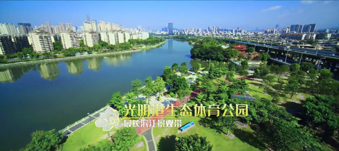 168开奖网app