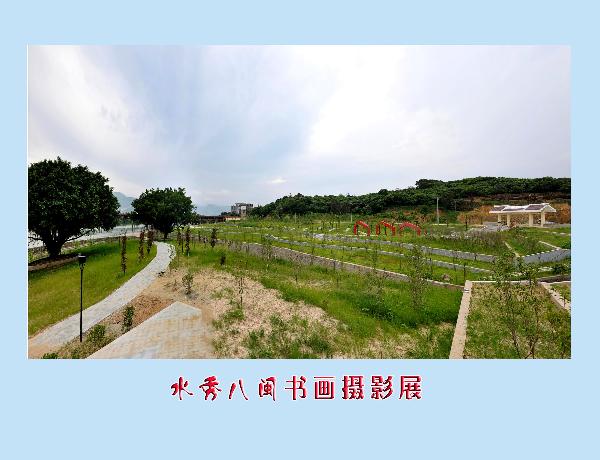 168开奖网app